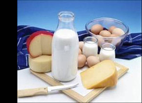 具有蛋白質(zhì)的相關(guān)圖片